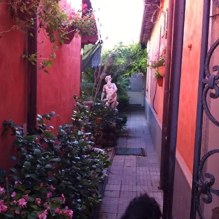 Casa Oasi Centro Storico *