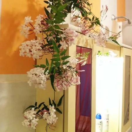 Appartement Casa 